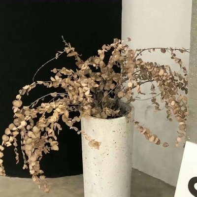 芜湖福瑞交流群